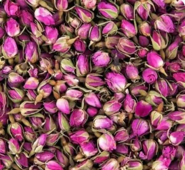 قیمت روز غنچه گل محمدی